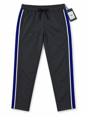 Jack & Jones Dark Grey Navy Stripe Ankle Pant NWT 33 x 32